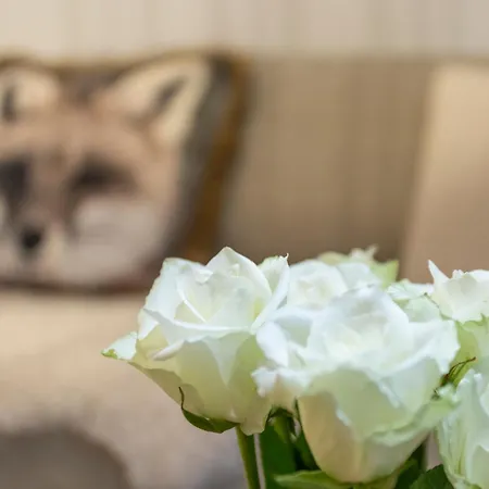 Appartement Vasko Luxurious Suites, Luppo