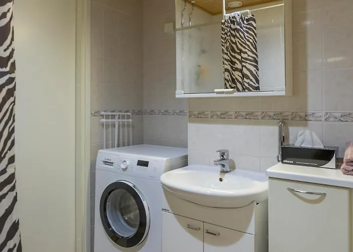 Vasko Luxurious Suites, Luppo * 罗瓦涅米